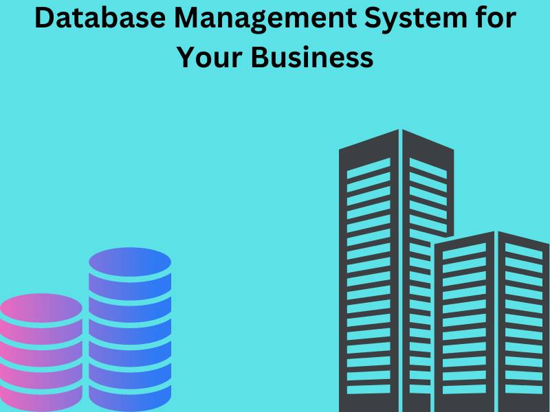 Benefits of Using a Database Management System for Your Business