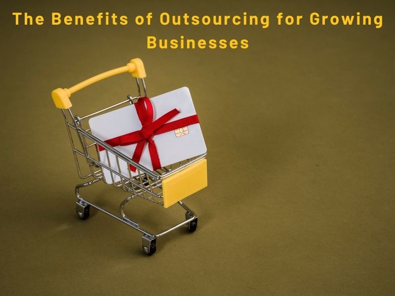 The Benefits of Outsourcing for Growing Businesses | Business | bhagat