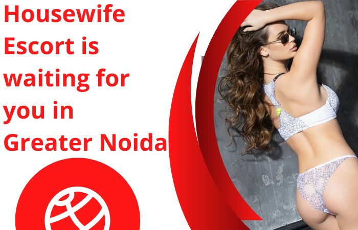 Housewife Escort In Greater Noida 