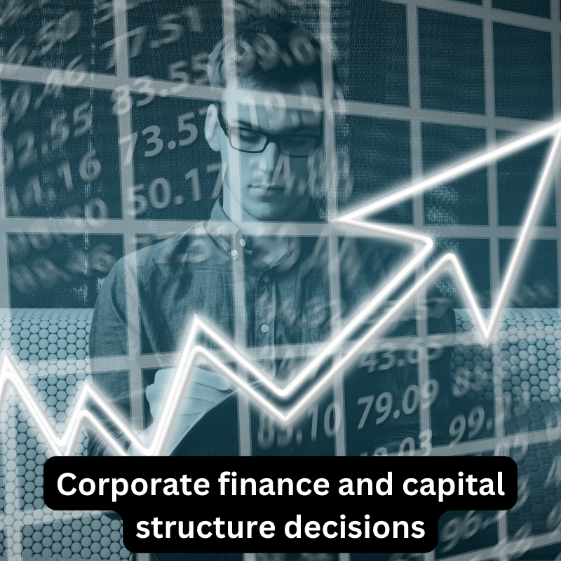 Corporate finance and capital structure decisions
