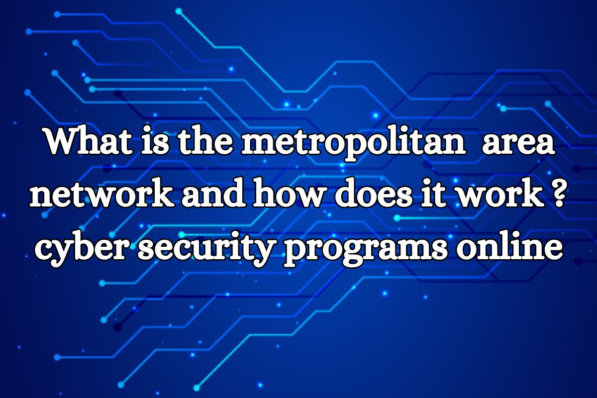 What is the metropolitan area network and how does it work?  cyber security programs online