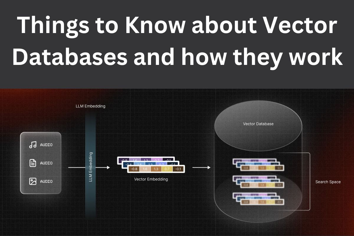 Things to Know about Vector Databases and how they work