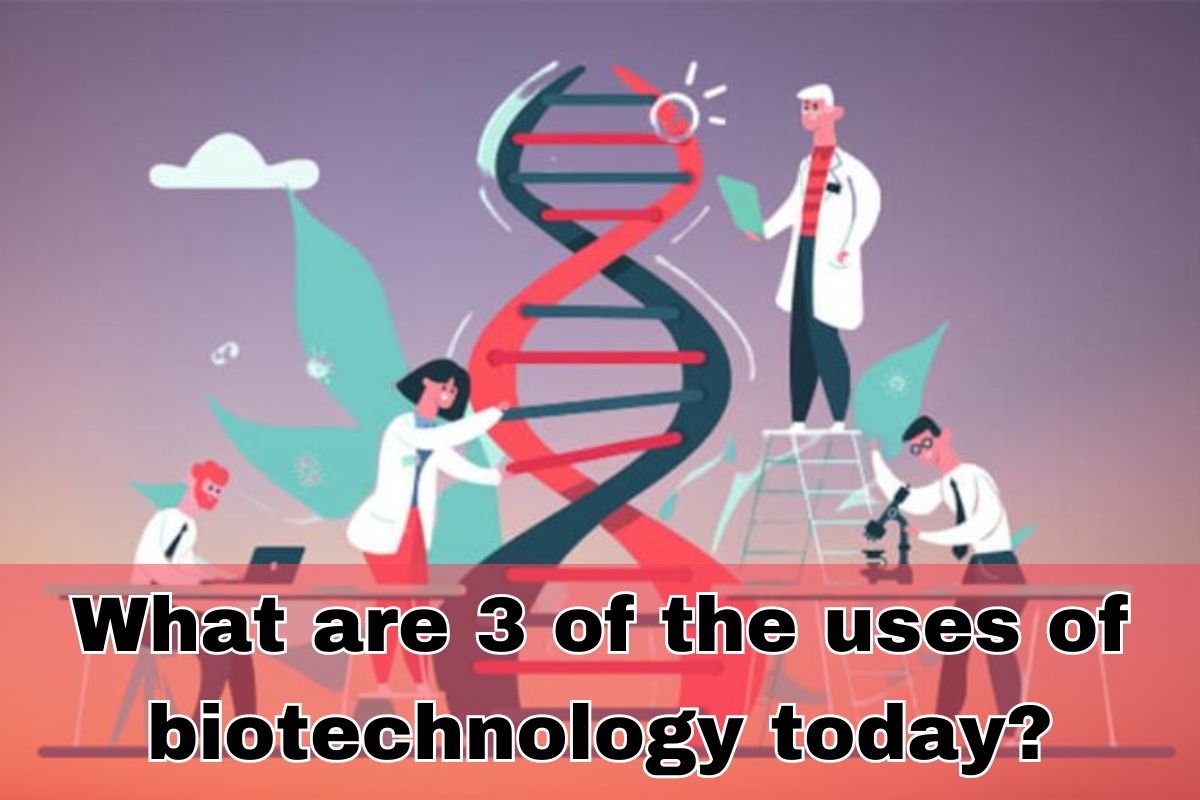 What are 3 of the uses of biotechnology today?