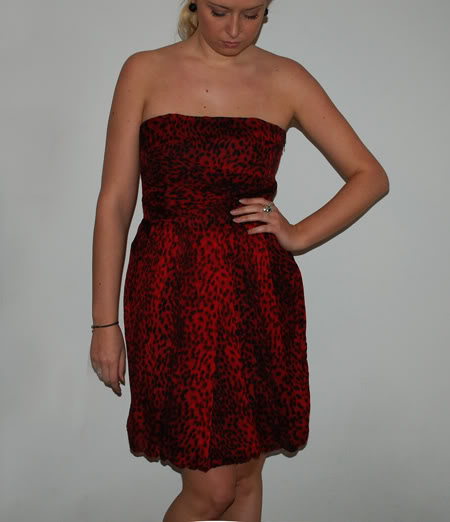 Arrived: Zara red-leo dress