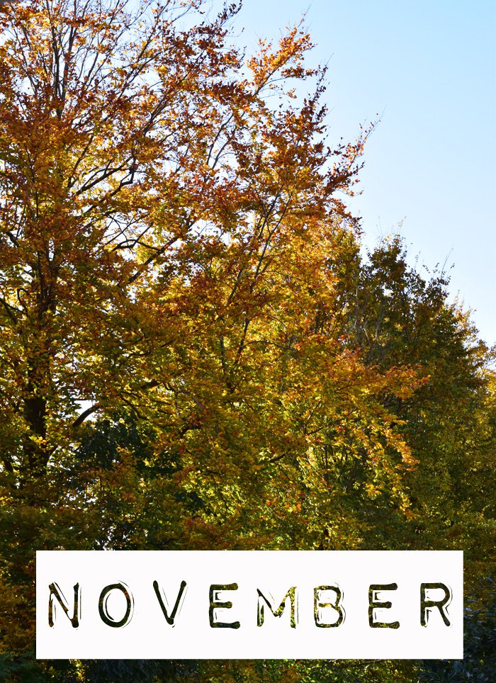 10-ting-jeg-vil-lave-i-november-fall-autumn-in-denmark-danmark-efterar-farver
