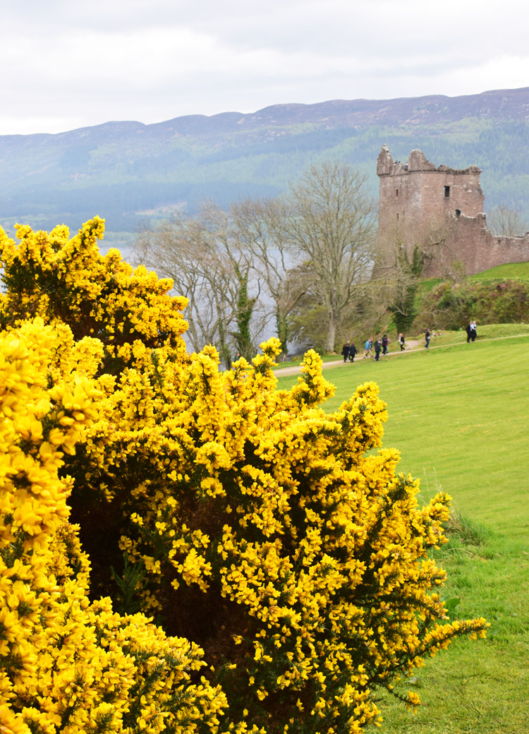 urquhart-castle-slot-scotland-skotland-loch-ness-missjeanett