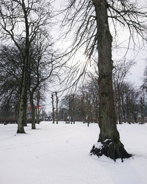 Aalborg park snevejr