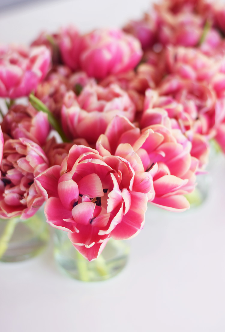 Lyserøde tulipaner - pink tulips - påske 2018