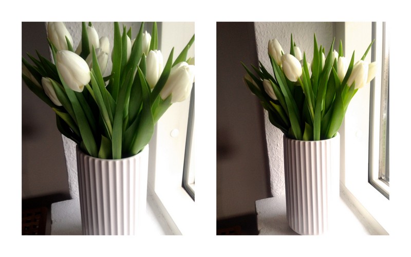 Tulipaner//Lyngby vase | Ingen kategori | Louise Andersen