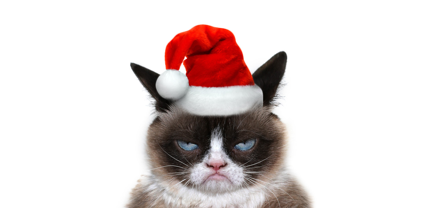 grumpy-christmas-cat-copy