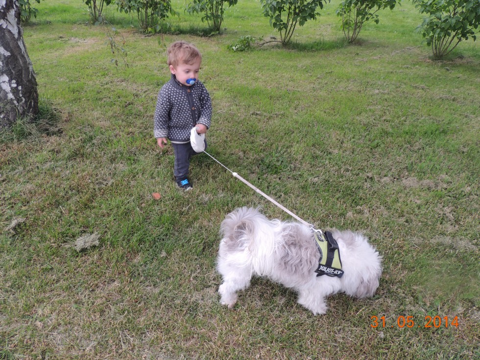 Tur med hunden. | Gå tur | LittleStyle blog