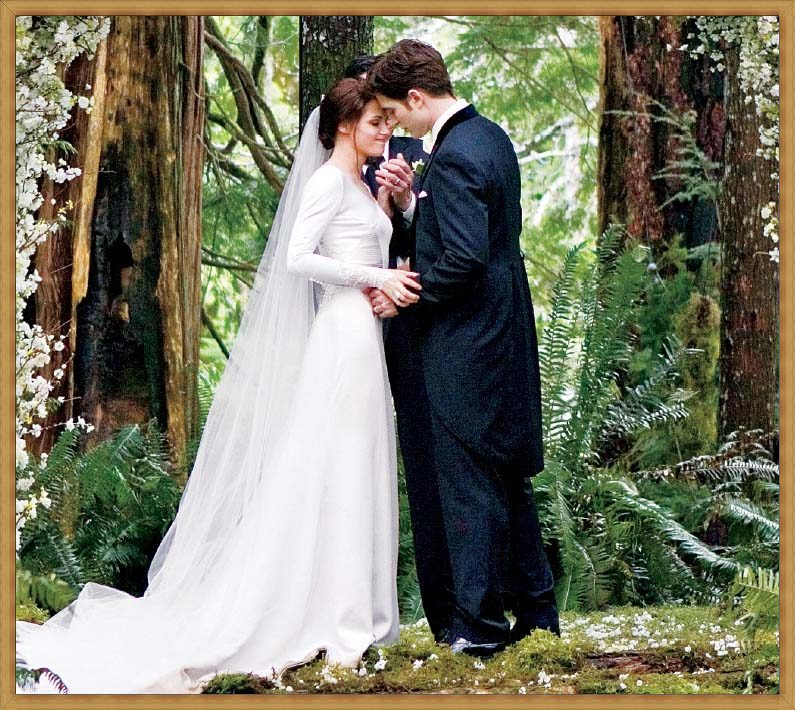 robe de mariée avec manches dans le film Twilight