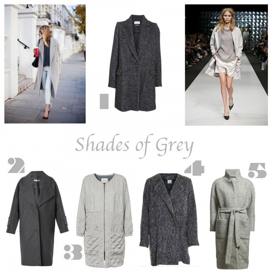 greycoats