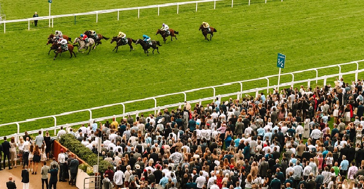King George VI Chase Horse Race Live Stream Online Free