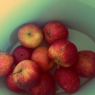 En skæppe-fuld æbler
