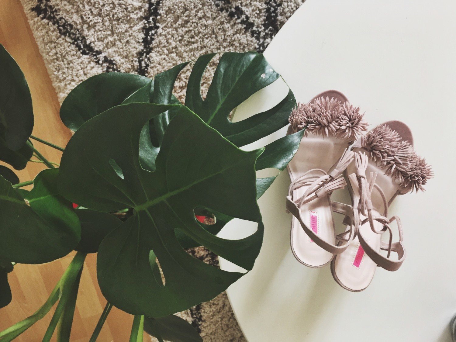 Monstera plant and high heels
