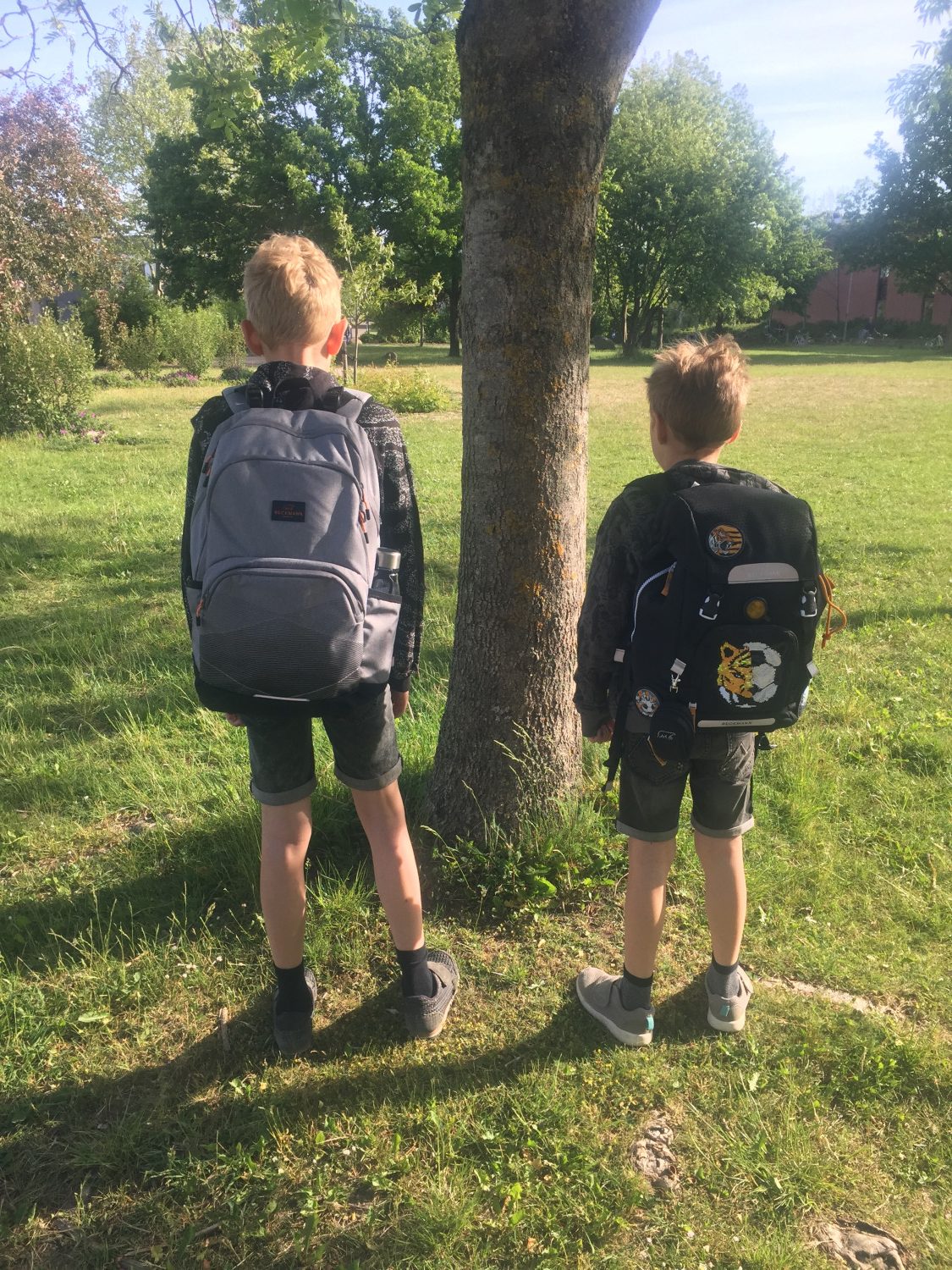 mikrocomputer Kristendom lokal Skolestart: Anmeldelse af skoletasker til børn | Aktiviter | lifewithkids  blog